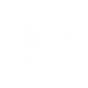 Morpho BJJ – Início